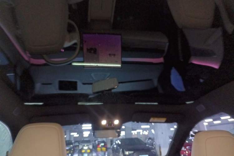 Used ONVO L60 2025 Model—60 kWh All-Wheel-Drive Version Headliner