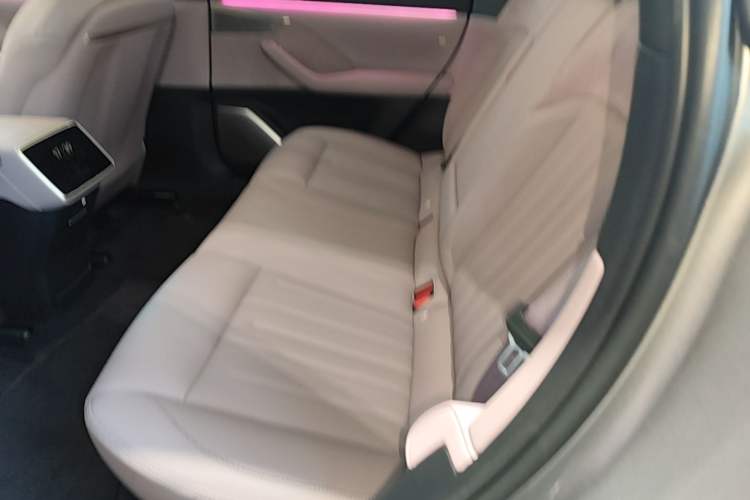 Used ONVO L60 2025 Model—60 kWh Rear-Wheel-Drive Version Left Rear Seat