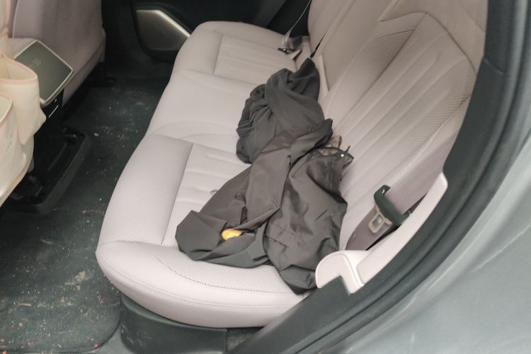 Used ONVO L60 2025 Model—85 kWh Rear-Wheel-Drive Version Left Rear Seat
