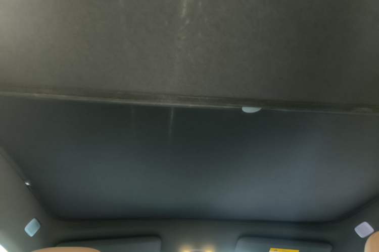 Used ONVO L60 2025 Model—60 kWh All-Wheel-Drive Version Headliner