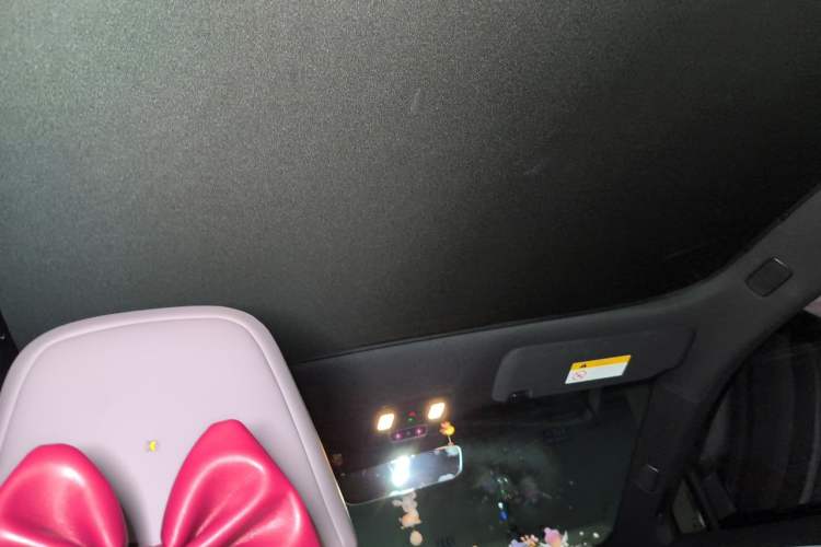 Used ONVO L60 2025 Model—60 kWh All-Wheel-Drive Version Headliner