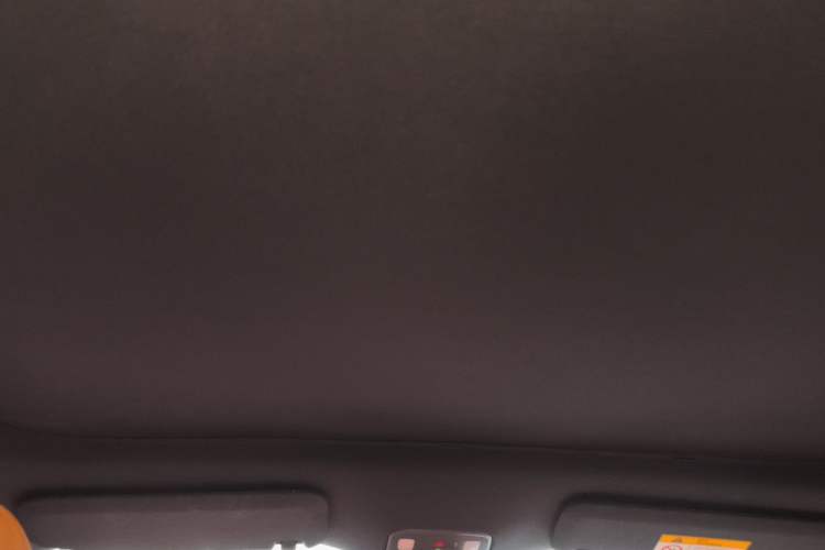 Used ONVO L60 2025 Model—60 kWh Rear-Wheel-Drive Version Headliner