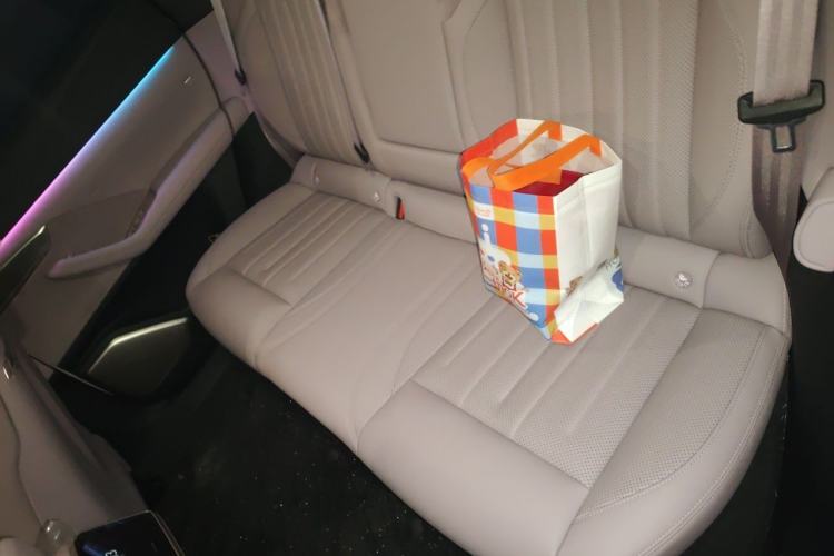 Used ONVO L60 2025 Model—60 kWh Rear-Wheel-Drive Version Left Rear Seat