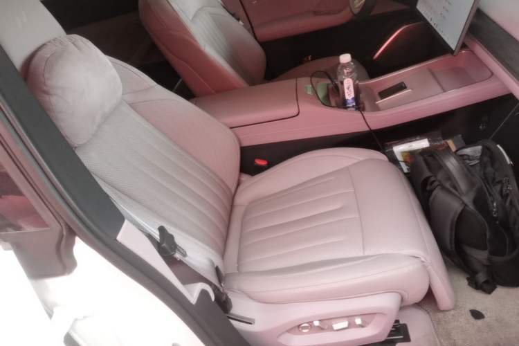 Used ONVO L60 2025 Model—60 kWh Rear-Wheel-Drive Version Right Front Seat