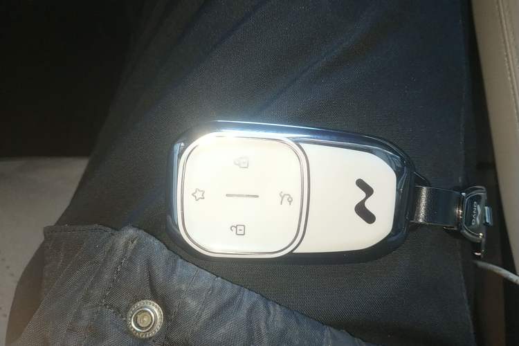 Used ONVO L60 2025 Model—60 kWh Rear-Wheel-Drive Version Vehicle Key