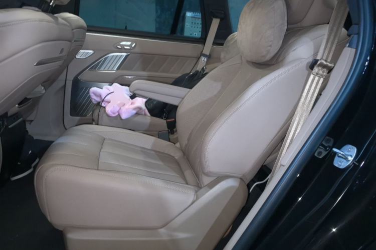 Used ONVO Luxeed L90 2025 Model—Ultra Six-Seater Version Left Rear Seat