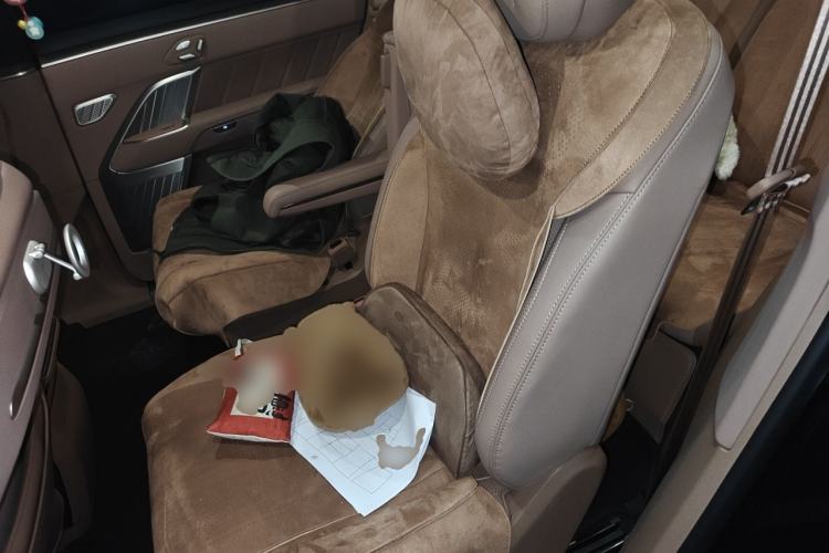 Used ONVO Luxeed L90 2025 Model—Max Six-Seater Version Left Rear Seat