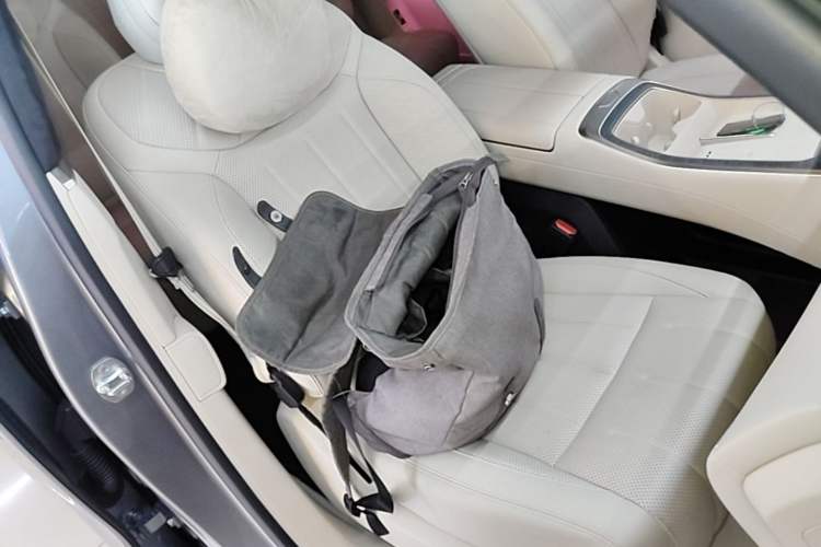 Used ONVO Luxeed L90 2025 Model—Ultra Six-Seater Version Right Front Seat