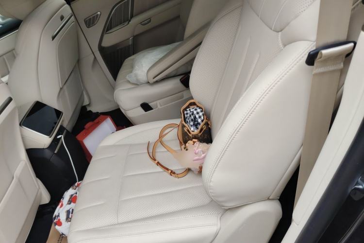 Used ONVO Luxeed L90 2025 Model—Ultra Six-Seater Version Left Rear Seat