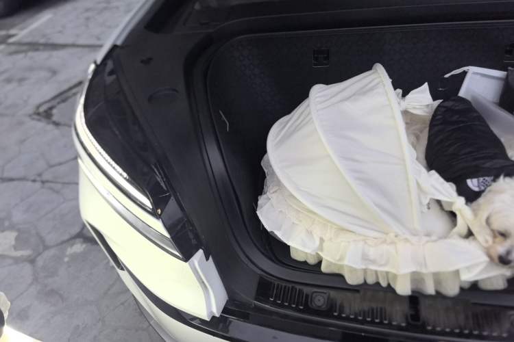 Used ONVO Luxeed L90 2025 Model—Ultra Six-Seater Version Engine Bay Right