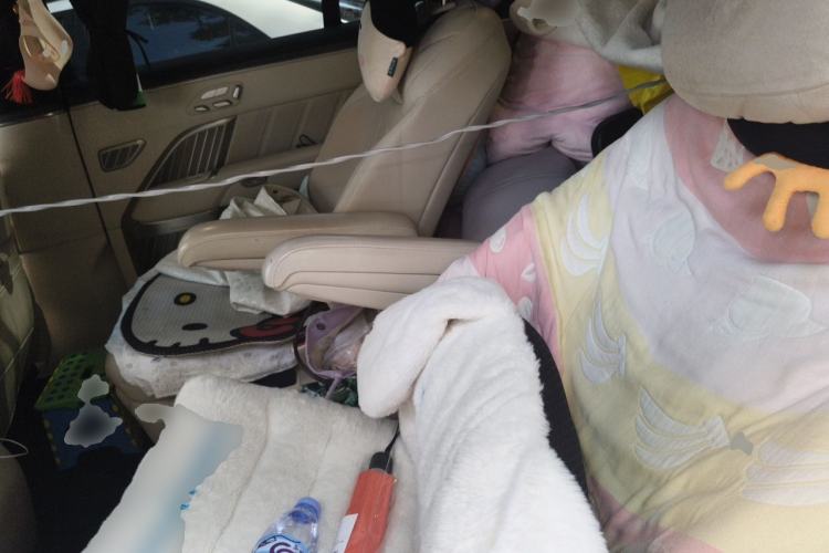 Used ONVO Luxeed L90 2025 Model—Ultra Six-Seater Version Left Rear Seat