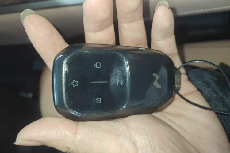 Used ONVO Luxeed L90 2025 Model—Max Seven-Seater Version Vehicle Key