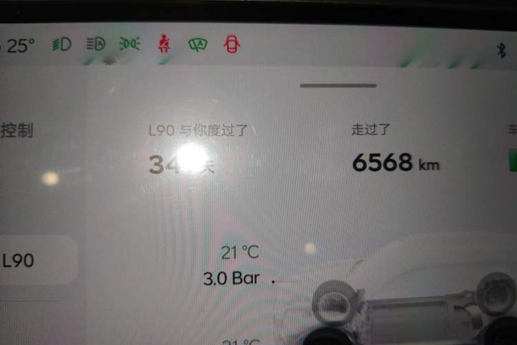 Used ONVO Luxeed L90 2025 Model—Ultra Six-Seater Version Odometer Close Up