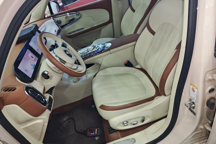 Used ORA Ballet Cat 2023 401 km Luxury Version Left Front Seat