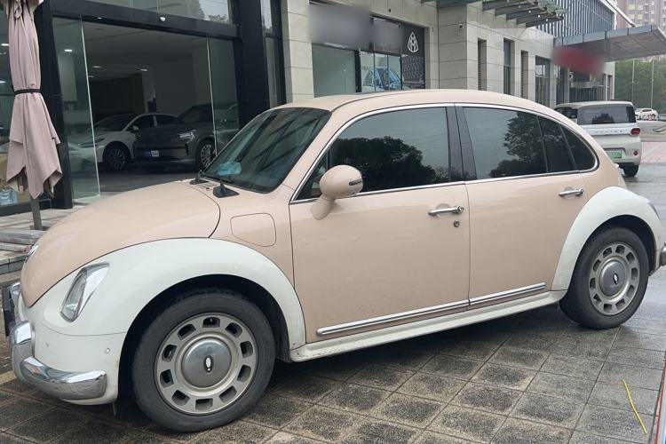Used ORA Ballet Cat 2023 401 km Luxury Version Exterior 5