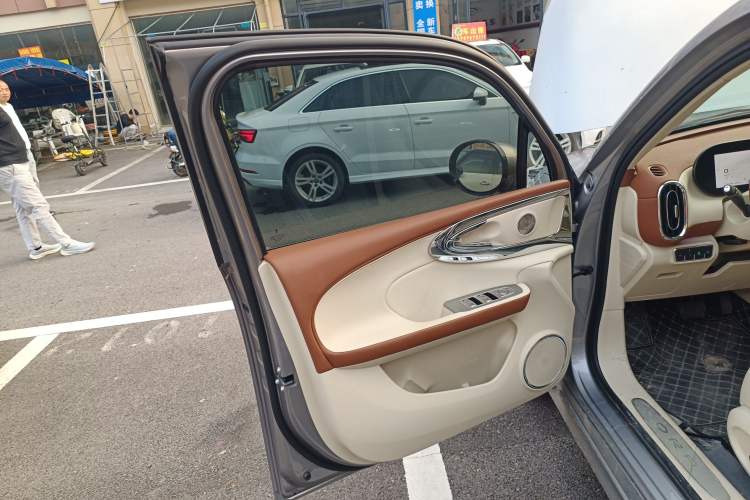 Used ORA Ballet Cat 2023 401 km Luxury Version Left Front Door Interior