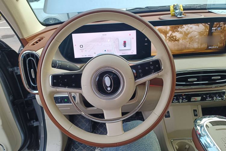 Used ORA Ballet Cat 2023 401 km Luxury Version Steering Wheel