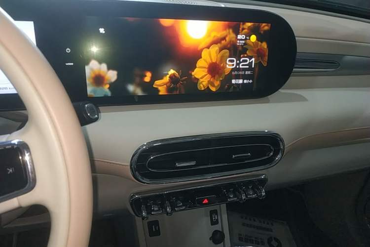 Used ORA Ballet Cat 2022 401 km Nutcracker Edition Audio And AC Panel