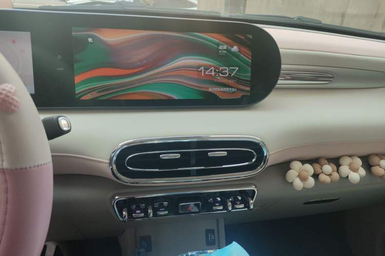 Used ORA Ballet Cat 2022 401 km Nutcracker Edition Audio And AC Panel