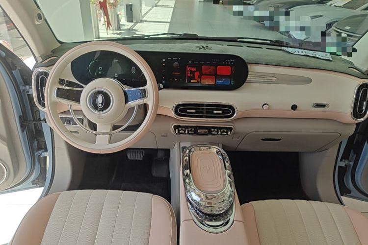 Used ORA Ballet Cat 2022 401 km Nutcracker Edition Center Console