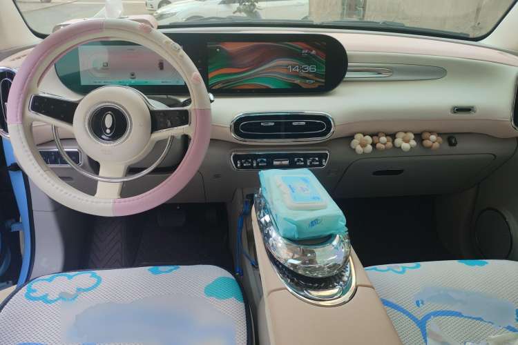 Used ORA Ballet Cat 2022 401 km Nutcracker Edition Center Console