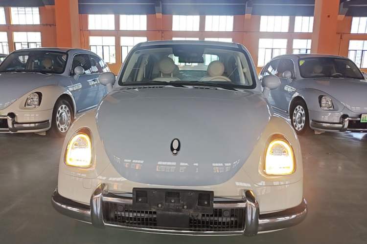 Used ORA Ballet Cat 2022 500km Sleeping Beauty Edition Front