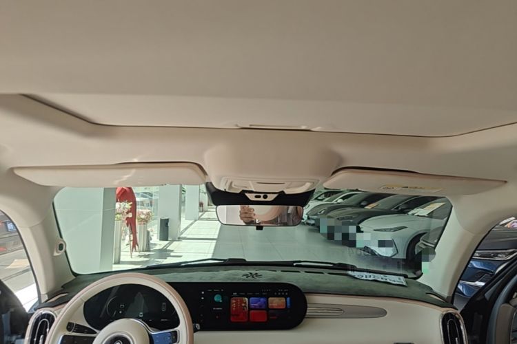 Used ORA Ballet Cat 2022 401 km Nutcracker Edition Headliner
