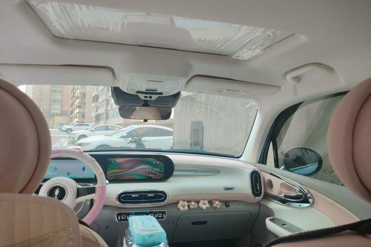 Used ORA Ballet Cat 2022 401 km Nutcracker Edition Headliner