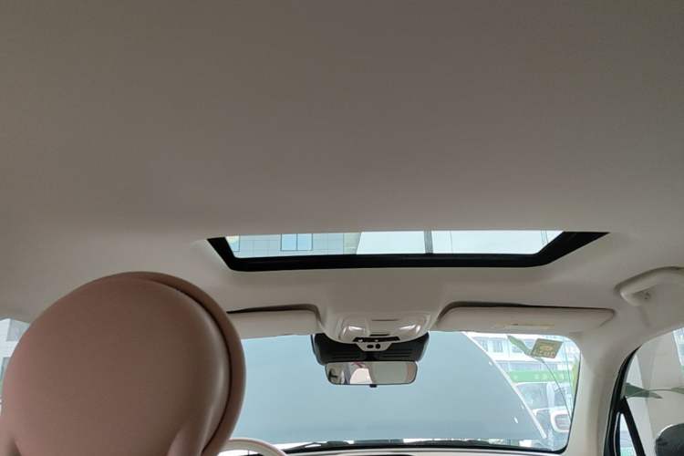 Used ORA Ballet Cat 2022 401 km Nutcracker Edition Headliner