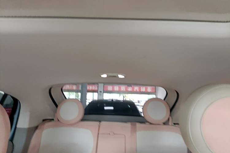 Used ORA Ballet Cat 2022 500 km Swan Lake Edition Headliner