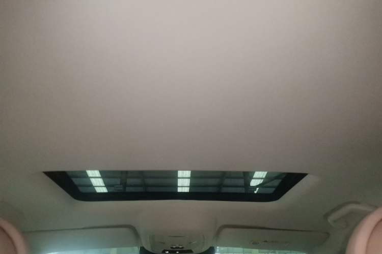 Used ORA Ballet Cat 2022 401 km Nutcracker Edition Headliner