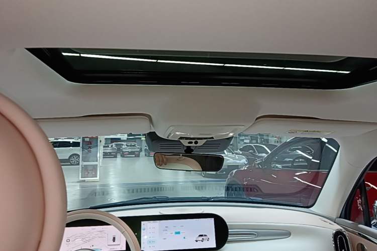 Used ORA Ballet Cat 2022 401 km Nutcracker Edition Headliner