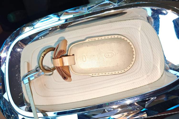Used ORA Ballet Cat 2022 401 km Nutcracker Edition Interior 1