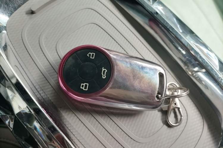 Used ORA Ballet Cat 2022 401 km Nutcracker Edition Interior 1