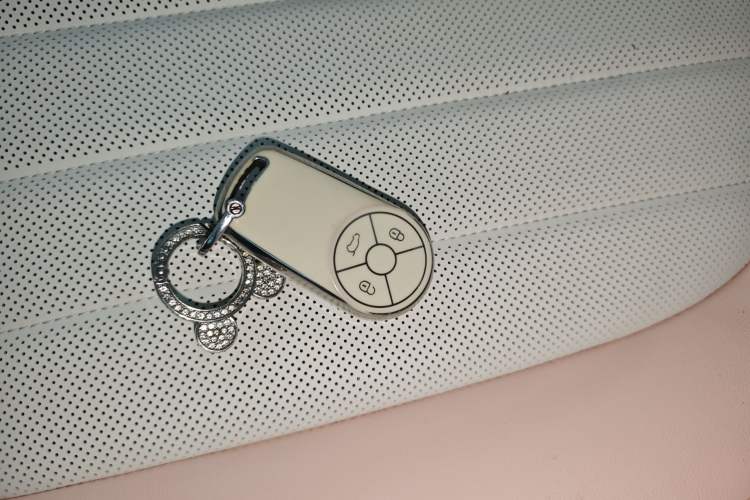 Used ORA Ballet Cat 2022 401 km Nutcracker Edition Interior 1