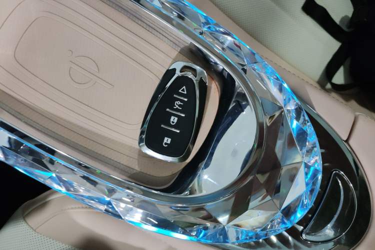 Used ORA Ballet Cat 2022 500 km Swan Lake Edition Interior 1