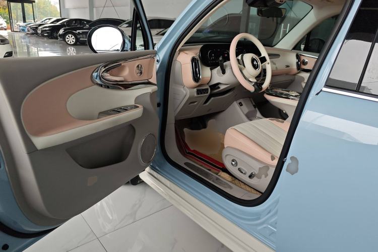 Used ORA Ballet Cat 2022 401 km Nutcracker Edition Interior 3