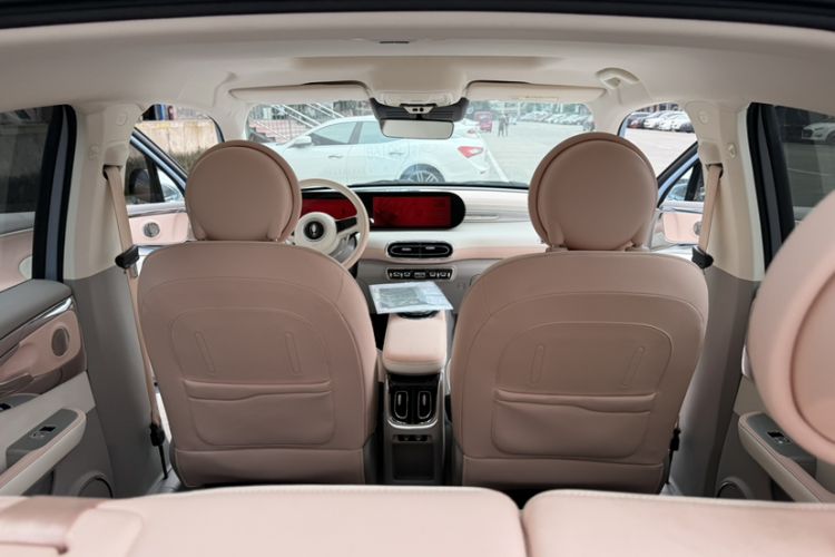 Used ORA Ballet Cat 2022 500 km Swan Lake Edition Interior 3