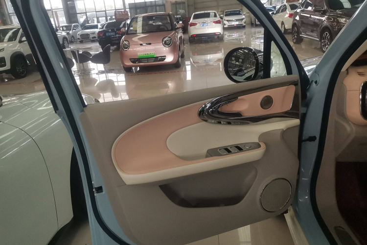 Used ORA Ballet Cat 2022 401 km Nutcracker Edition Interior 4