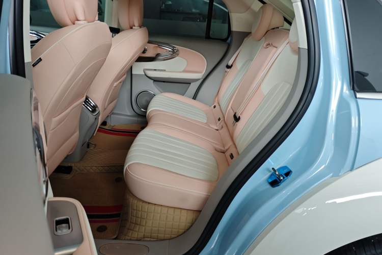 Used ORA Ballet Cat 2022 401 km Nutcracker Edition Interior 4