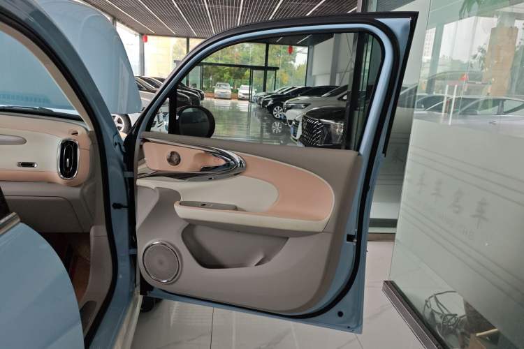 Used ORA Ballet Cat 2022 401 km Nutcracker Edition Interior 5