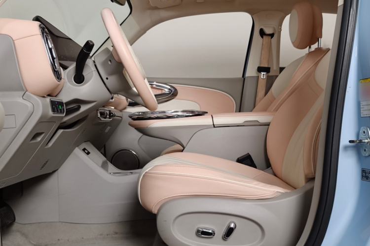 Used ORA Ballet Cat 2022 500km Sleeping Beauty Edition Interior 6