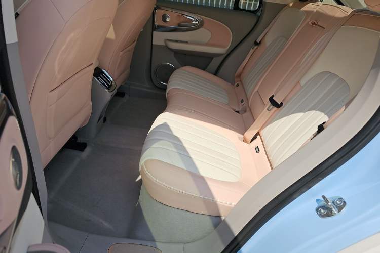 Used ORA Ballet Cat 2022 401 km Nutcracker Edition Interior 6