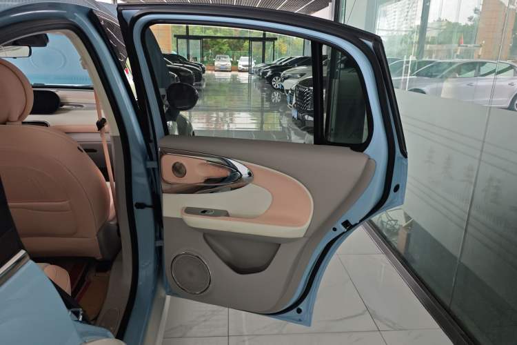 Used ORA Ballet Cat 2022 401 km Nutcracker Edition Interior 6