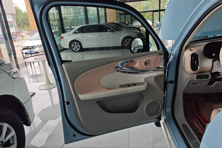 Used ORA Ballet Cat 2022 401 km Nutcracker Edition Interior 7