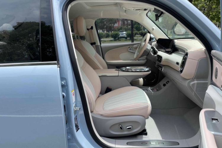 Used ORA Ballet Cat 2022 401 km Nutcracker Edition Interior 8