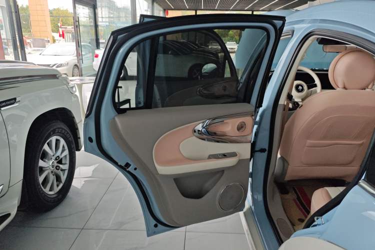 Used ORA Ballet Cat 2022 401 km Nutcracker Edition Interior 8