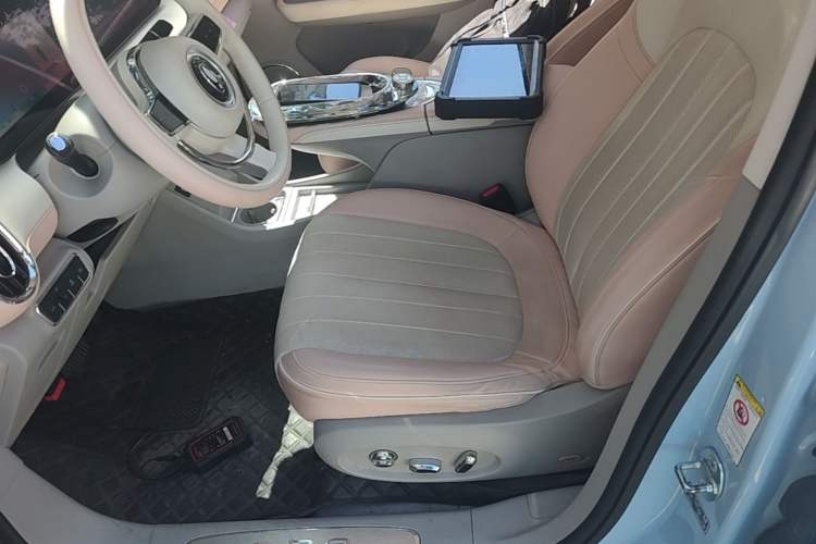 Used ORA Ballet Cat 2022 401 km Nutcracker Edition Left Front Seat