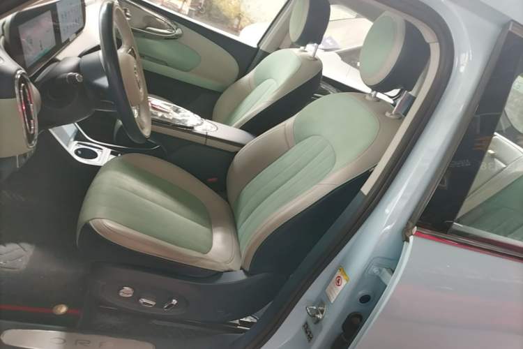 Used ORA Ballet Cat 2022 401 km Nutcracker Edition Left Front Seat