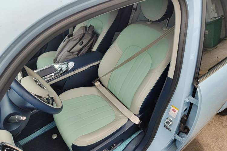 Used ORA Ballet Cat 2022 401 km Alice Edition Left Front Seat
